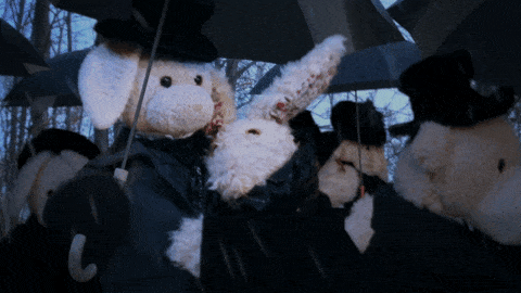 17 �������, ����� ��� ��� �� ������� � ������������ ����� � �������